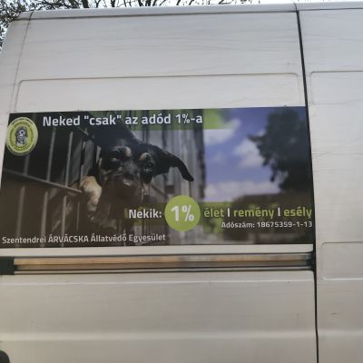 Céges Autódekoráció & Flottafóliázás - Misstic Fólia referencia fotó
